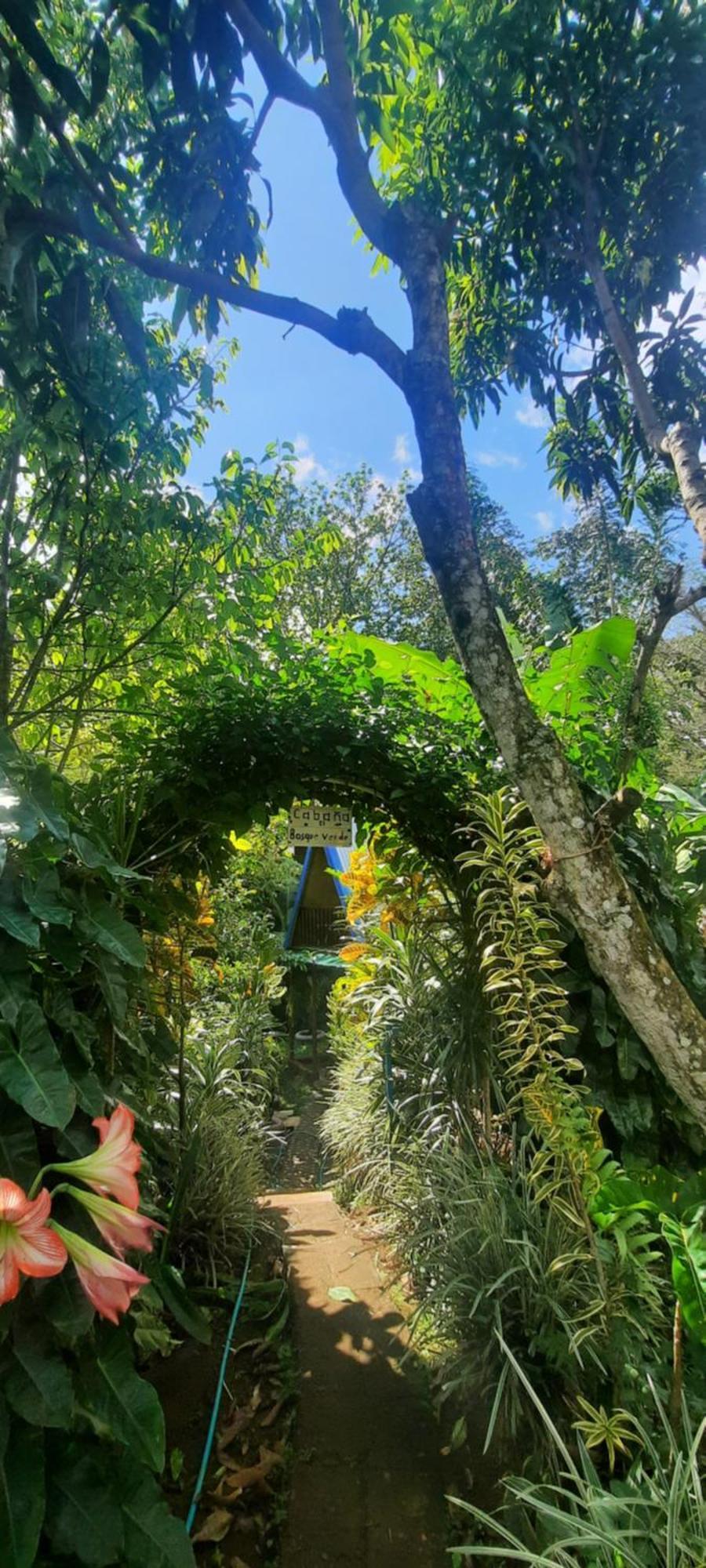Cabana Bosque Verde Naranjo  Exterior photo