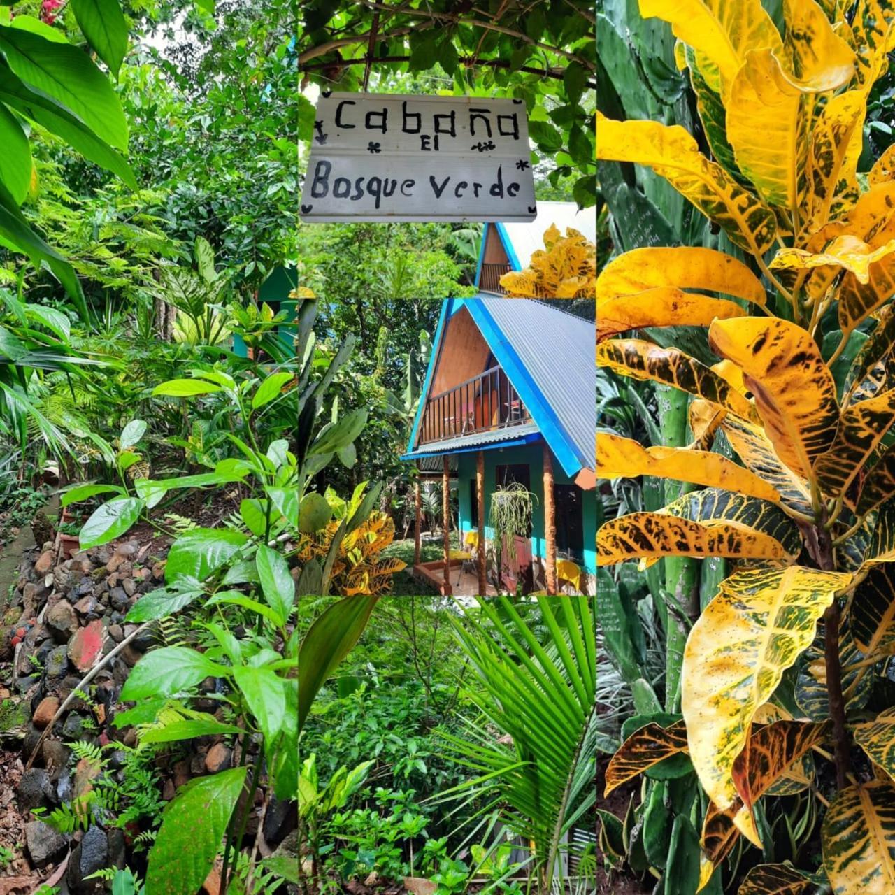Cabana Bosque Verde Naranjo  Exterior photo